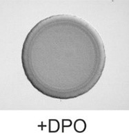 Biofilm formation in VqmR over-producing cells.